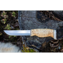 ARCTIC LEGEND - Couteau nordique Bear knife - Manche bouleau frisé