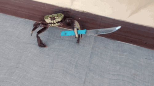 GIF crabe menaçant avec un couteau